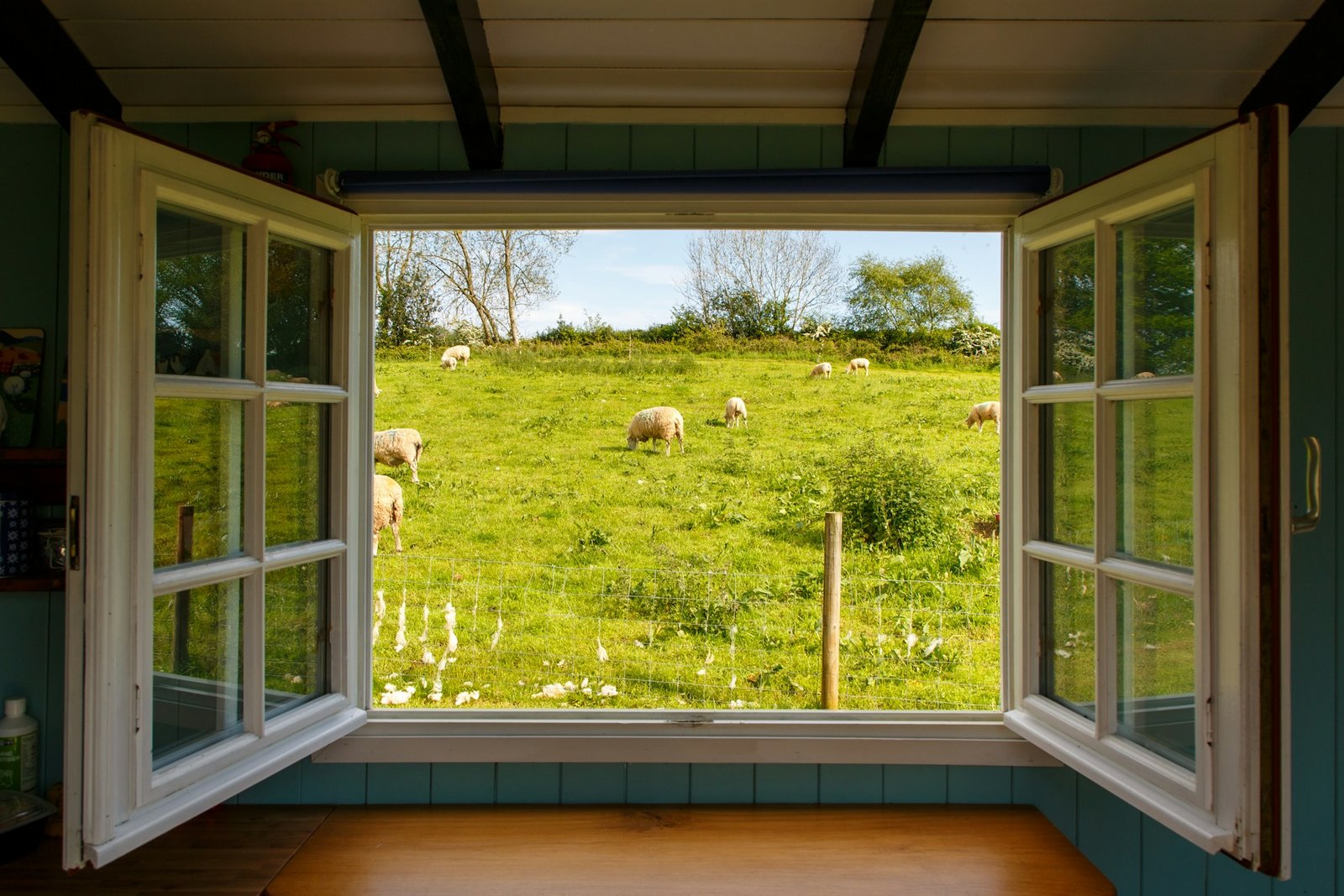 Fenster im Wohnraum